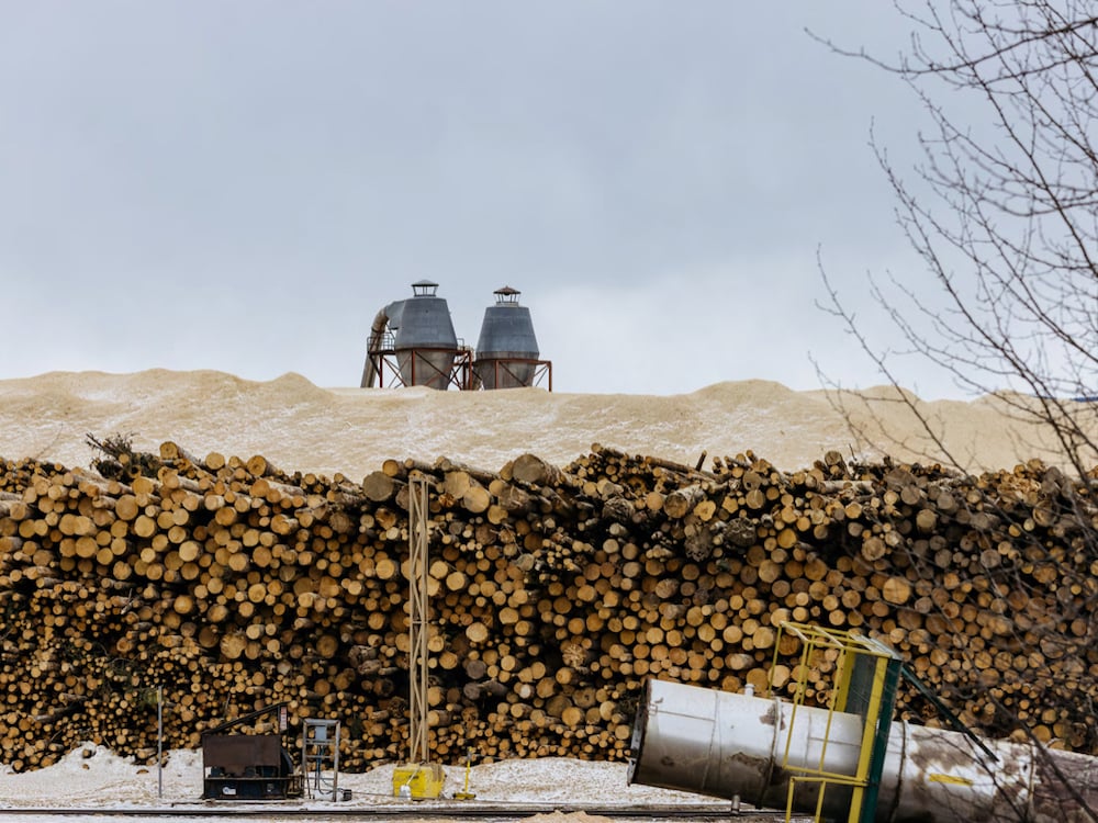 A giant row of stacked logs is in front of even taller mounds of light-coloured wood chips. Two cylindrical structures are in the background.