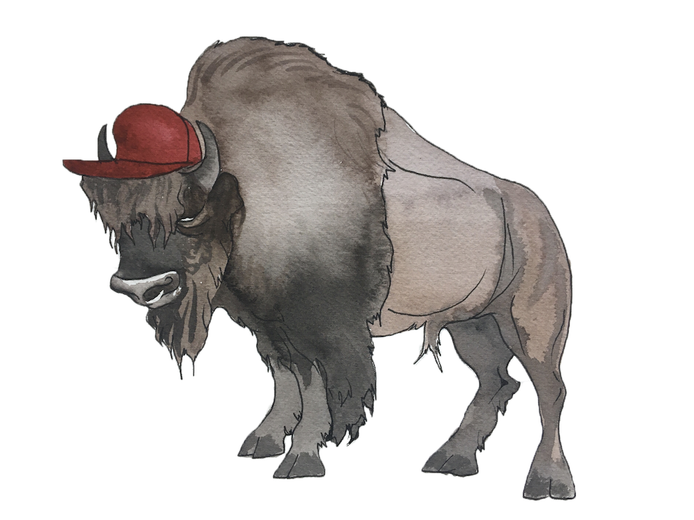 582px version of DW-Buffalo.png