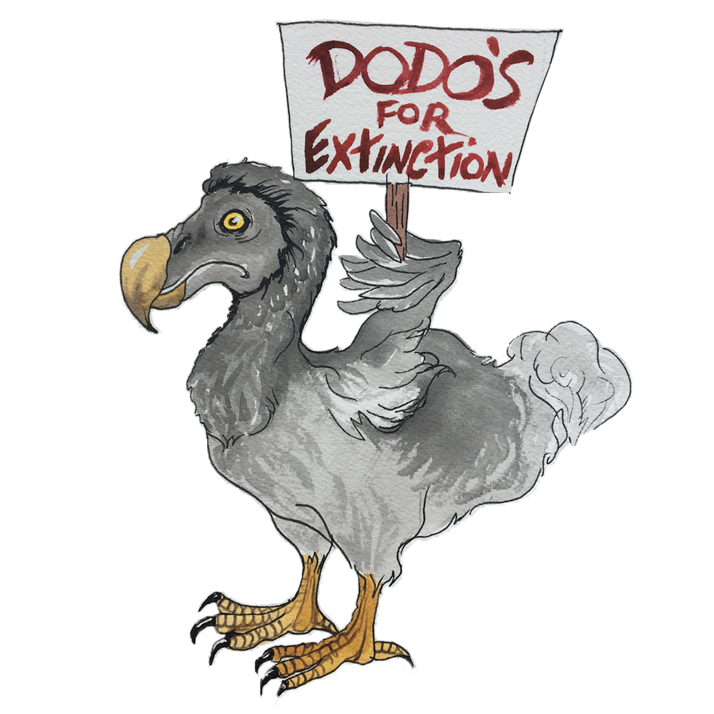 582px version of DW-Dodo.png