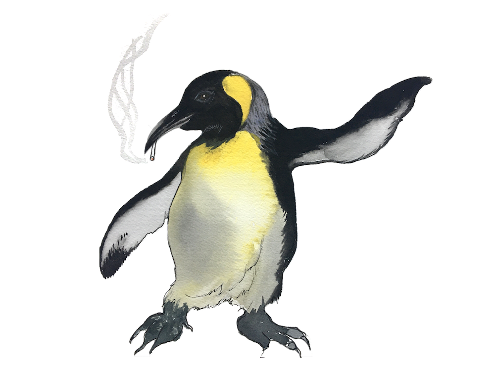 582px version of DW-Penguin.png