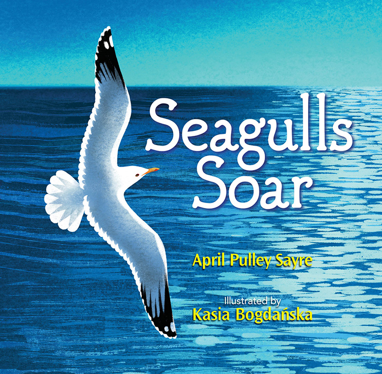 582px version of SeagullsSoarBookCover.jpg