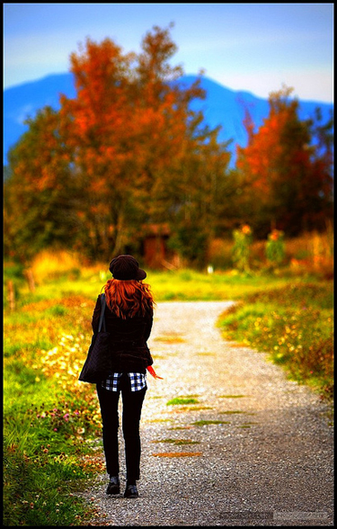 A fall walk