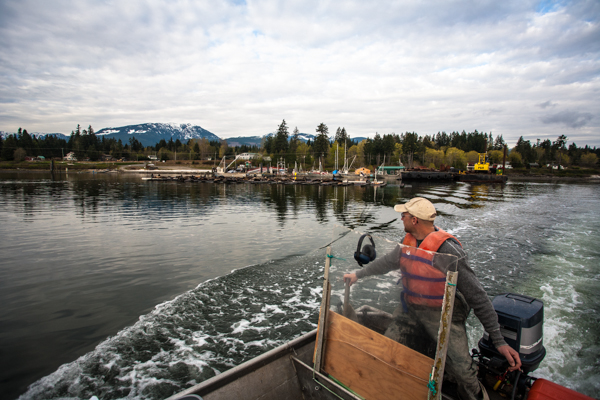 Oyster farm photo essay