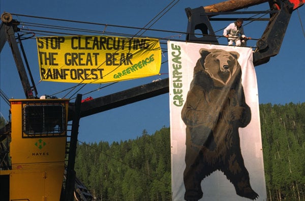 Greenpeace climbers hang a banner from a logging crane, 1997