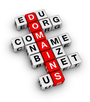 domainnamen dominio domaine domainendungen piracy multilingue smallbizclub