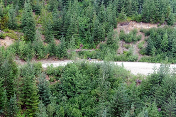 Unaccounted-for hikers after Meager Creek landslide