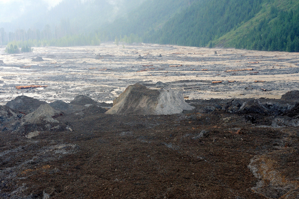 Glacier on valley bottom after landslide
