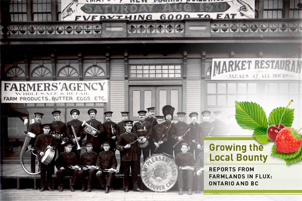 Vancouver City Market, 1908