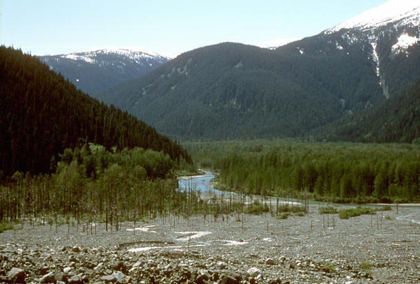 582px version of Craig River wetlands