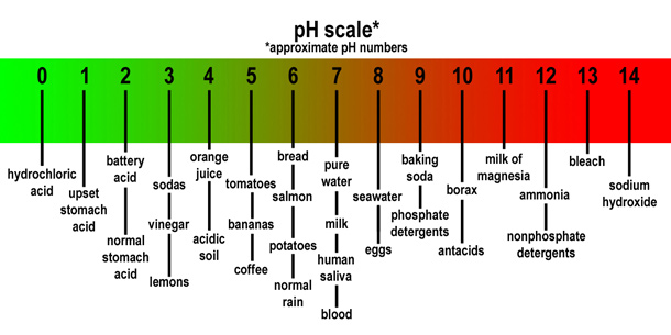 582px version of pH scale