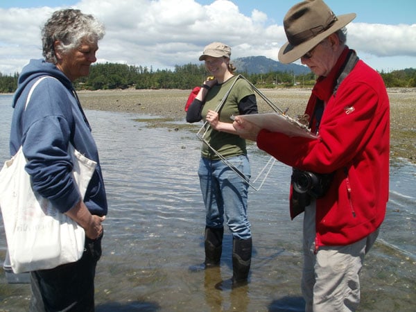 Nikki Wright, eelgrass, Dr. Colin Campbell, Pat Bay, British Columbia