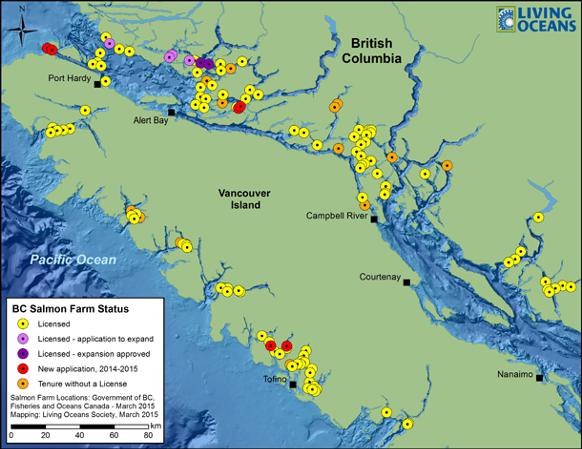 Fishermen Offered $20,000 Compensation For Proposed Salmon Farms 