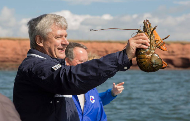 Stephen Harper with a lobster