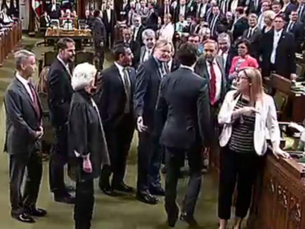 Parliamentary scuffle