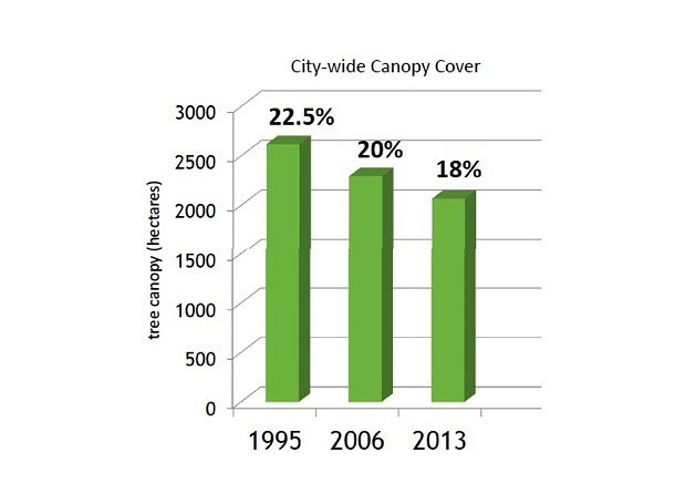 582px version of Vancouver-Canopy-Stats.jpg