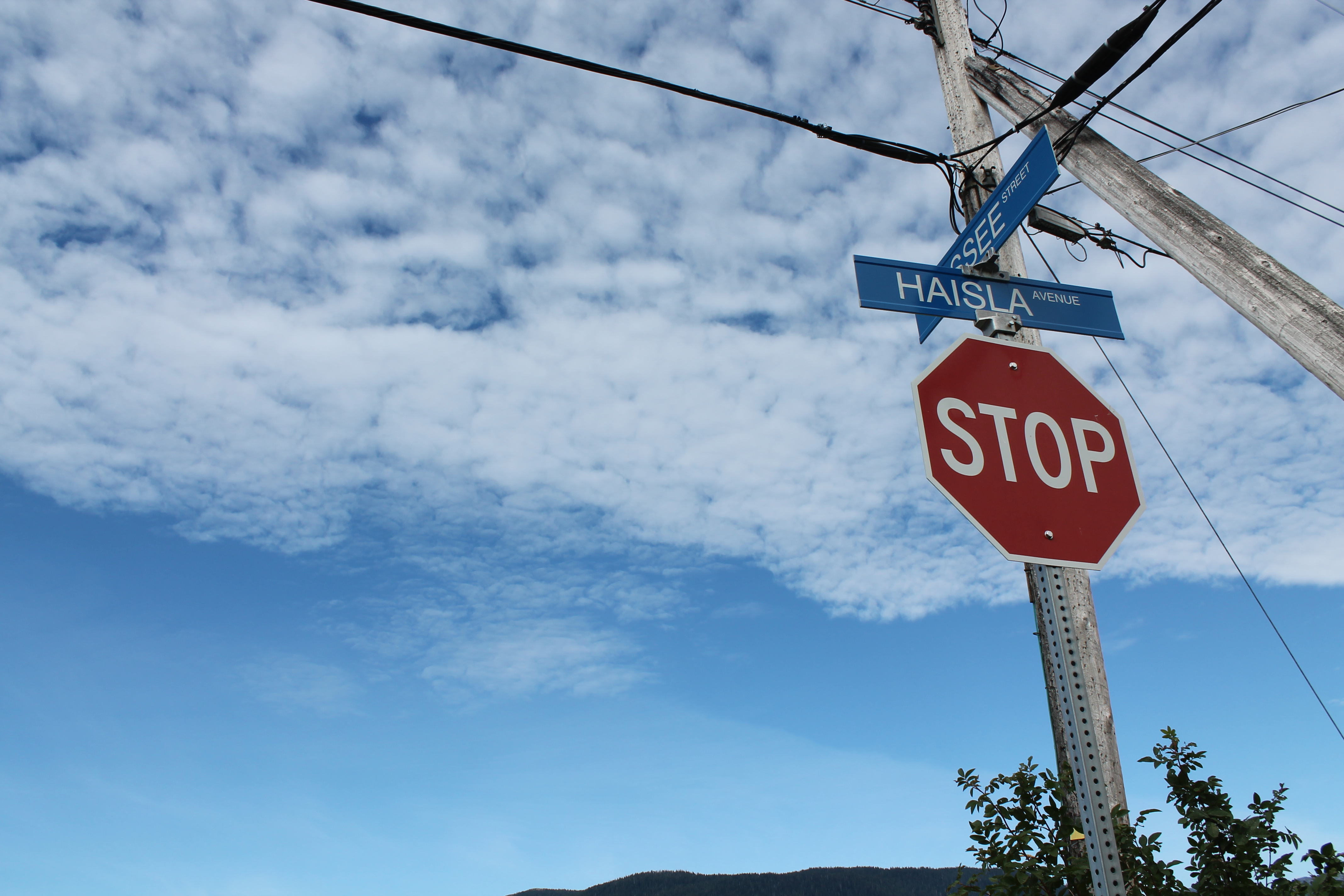 851px version of Haisla Stop Sign