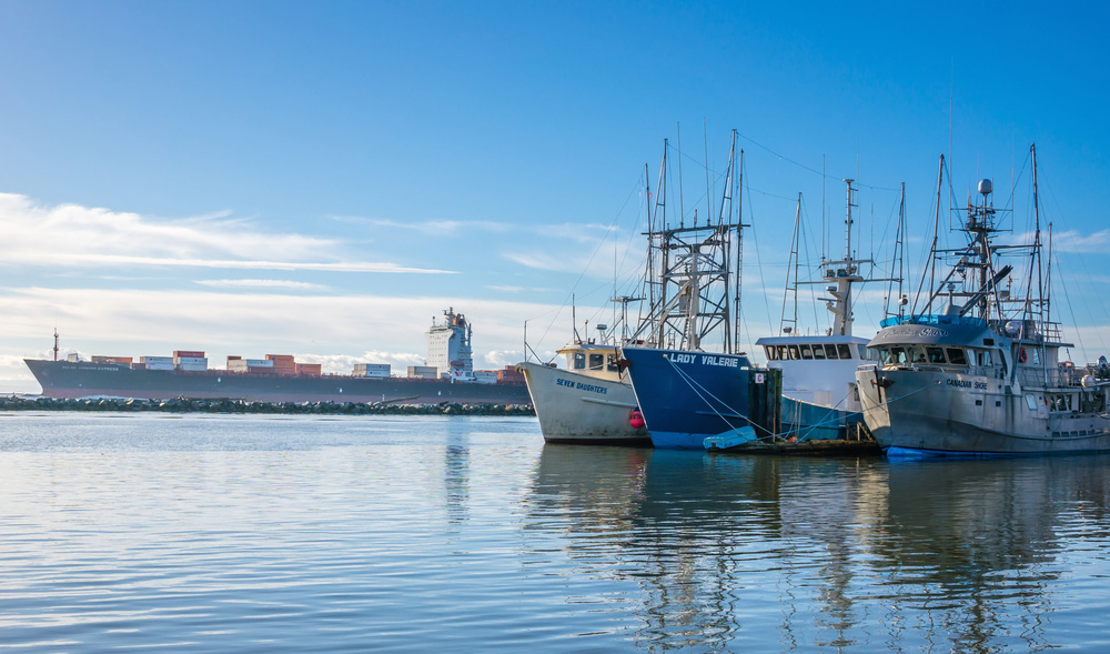 Canada s Fishing Industry At Risk Of Major Stock Collapse The Tyee