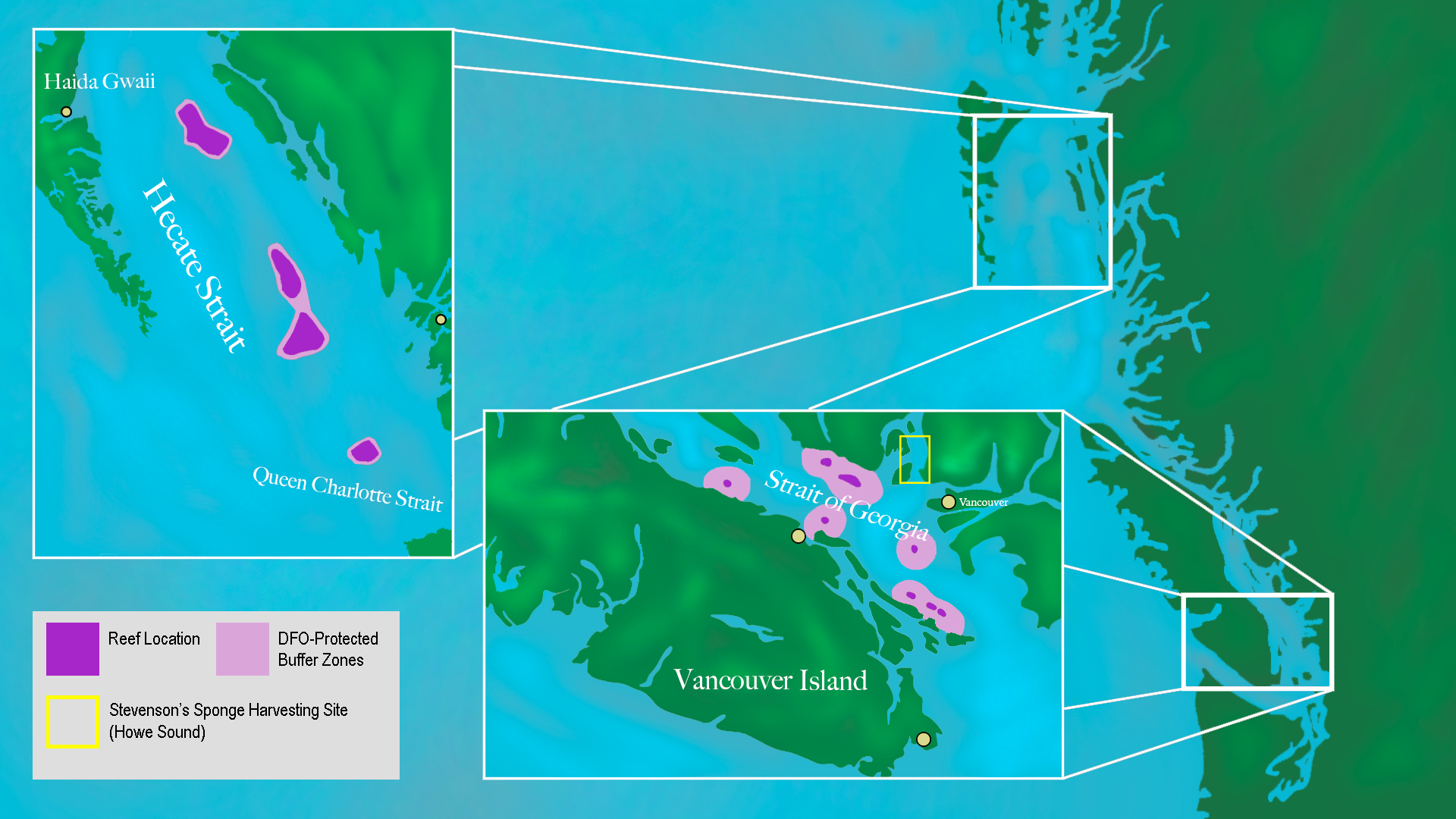 851px version of Sponge-Reef-Map.png