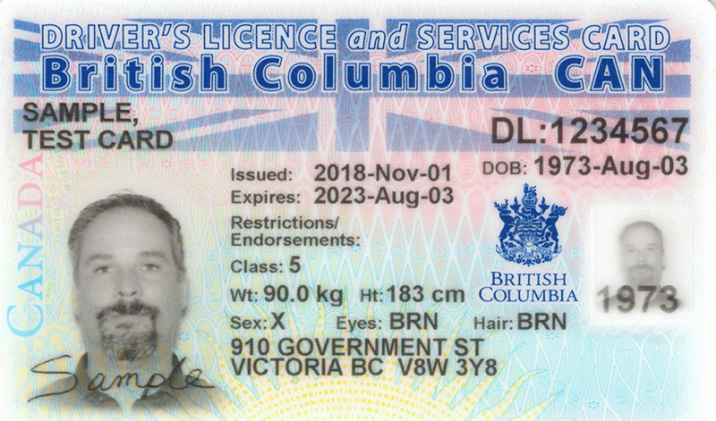 Bc Drivers License Learners Restrictions Meaning