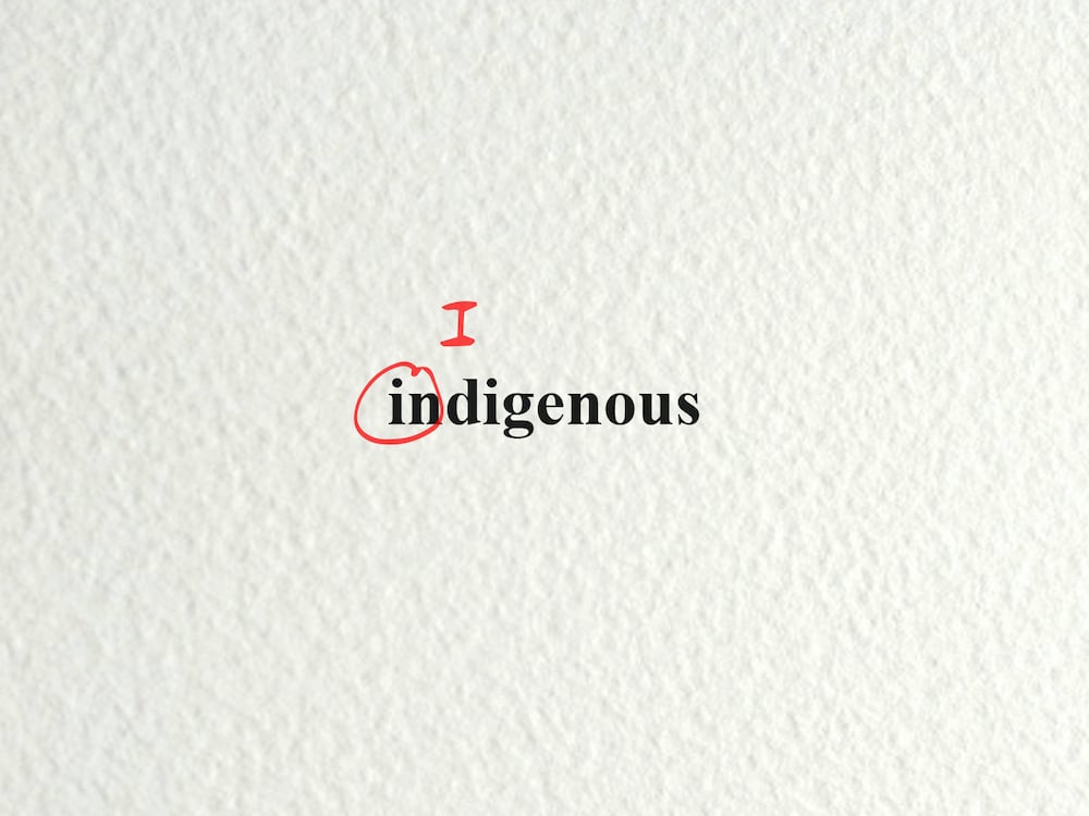 Indigenous-Cover-Plain.jpg