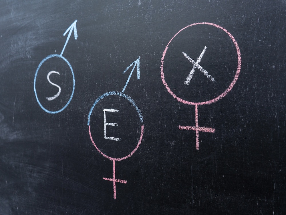S, E and X float inside the circles of three sex markers on a chalkboard.