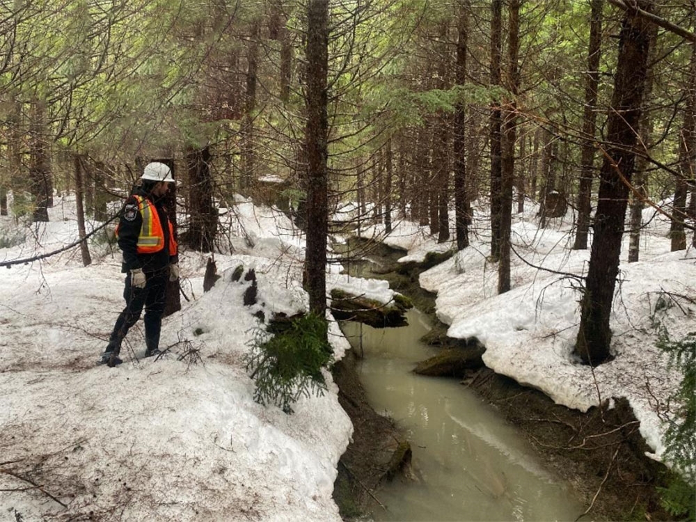 A person in a yellow safety vest stands next to a muddy creek in a forest filled with evergreen trees.