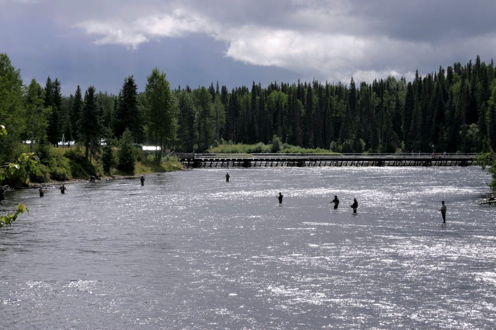 Fishers are standing in the shallow river, with the fish-counting fence and treed hillsides in the background
