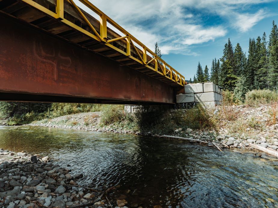 Defenders of Alberta's Bull Trout Say This Bridge Is Illegal