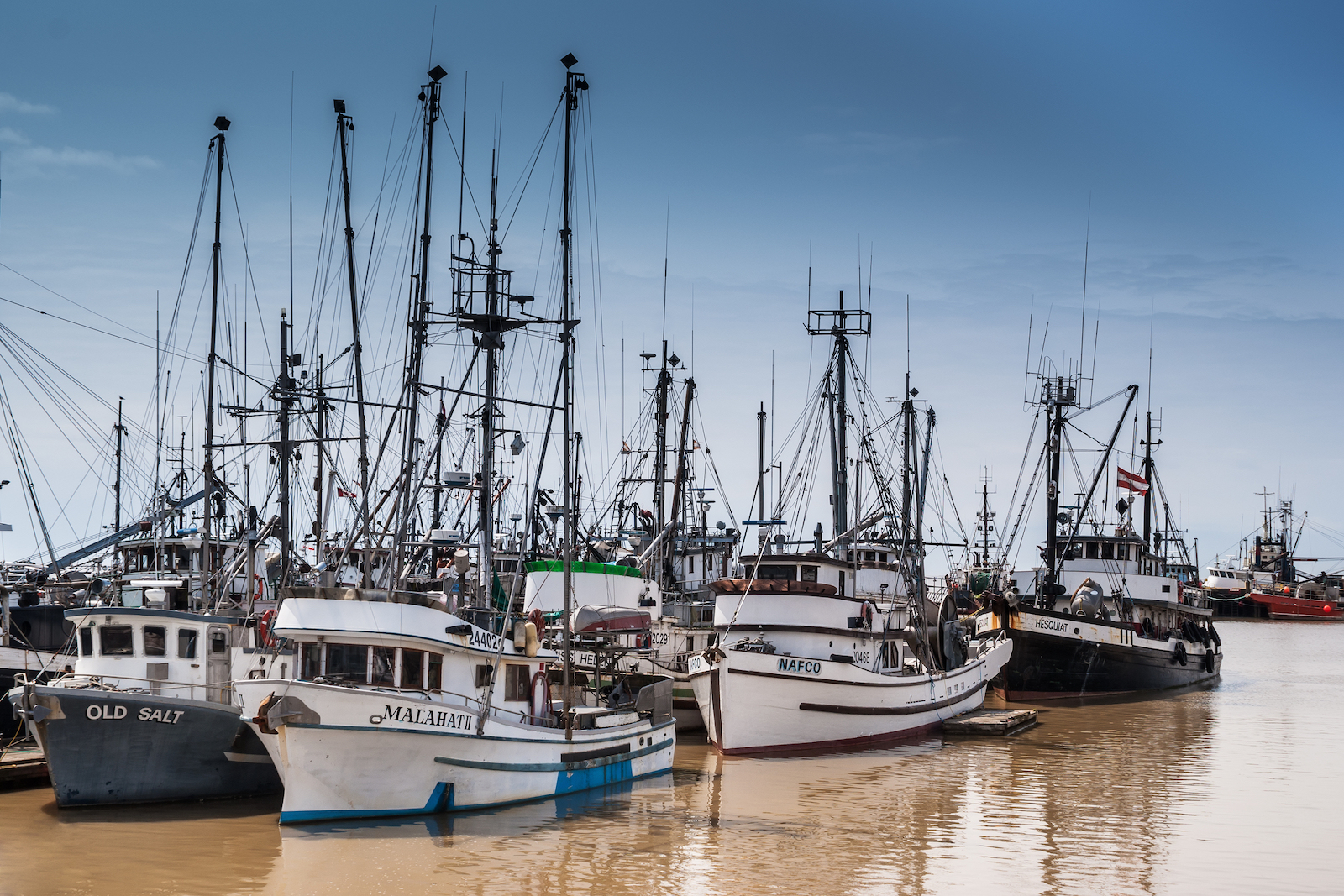A fleet of fishing boats docked in Steveston, B.C. on a bright sunny day against a blue sky.