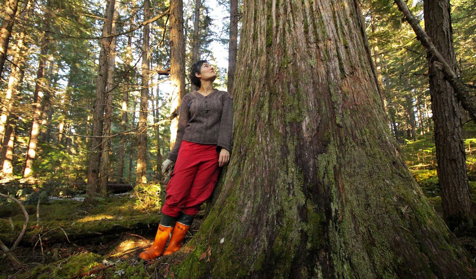 A woman with short, dark hair leans against a large tree trunk in a forest and looks up.