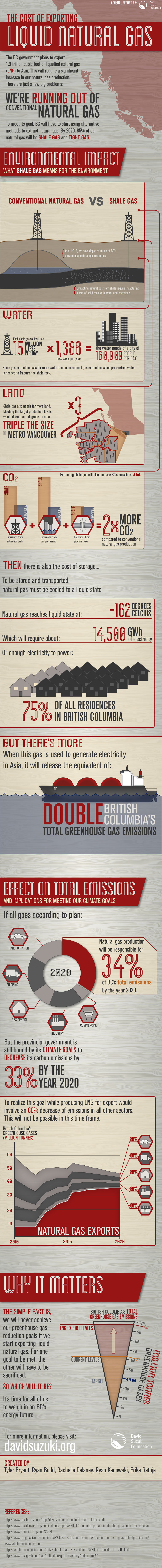 582px version of LNG Infographic, full size