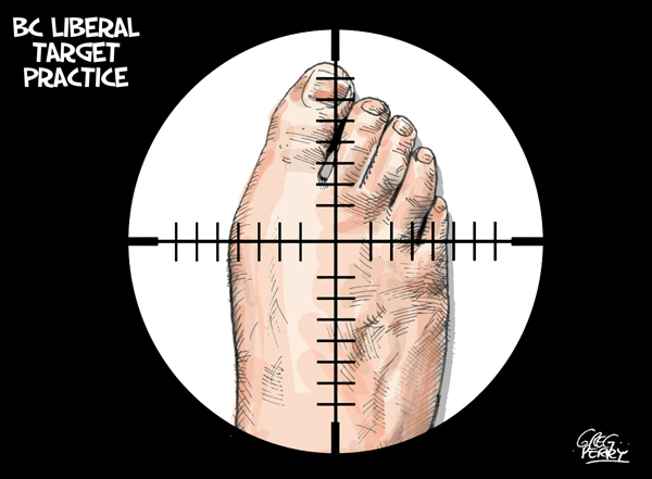 'BC Liberal target practice' cartoon