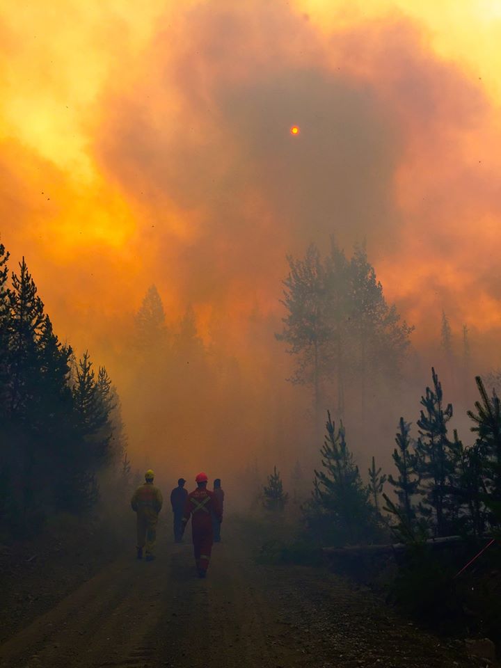 582px version of Firefighters-Forest.jpg