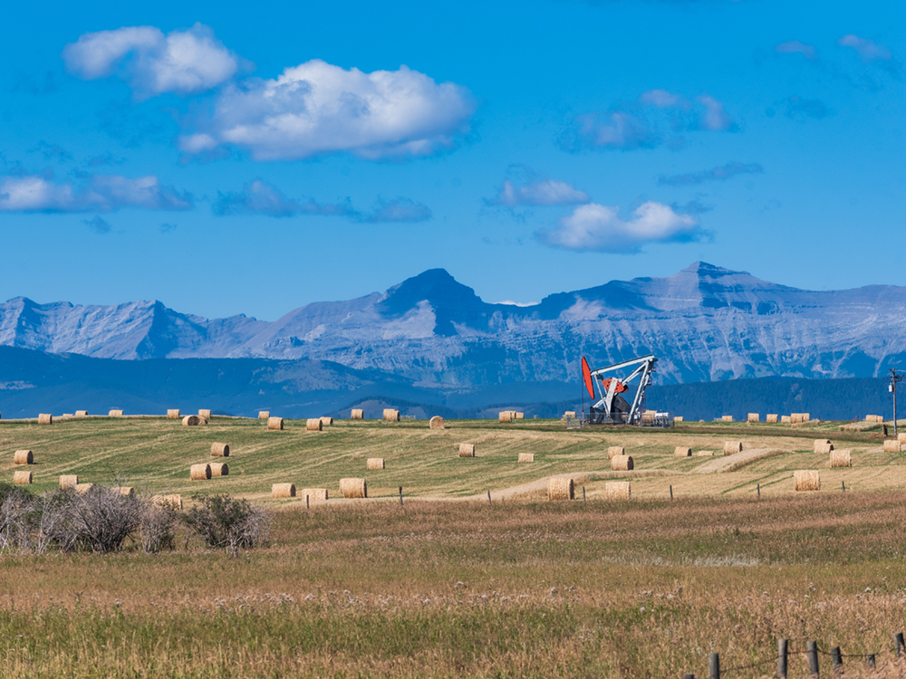 A pumpjack in a hay field. In the background, Alberta’s foothills. 