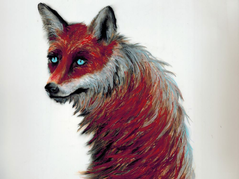 A painting of a red fox on a white background.
