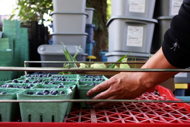 Growing the Local Bounty: Reports from Farmlands in Flux, Ontario and BC