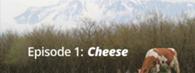 Fed By Hand - Episode 1: Cheese - video thumbnail