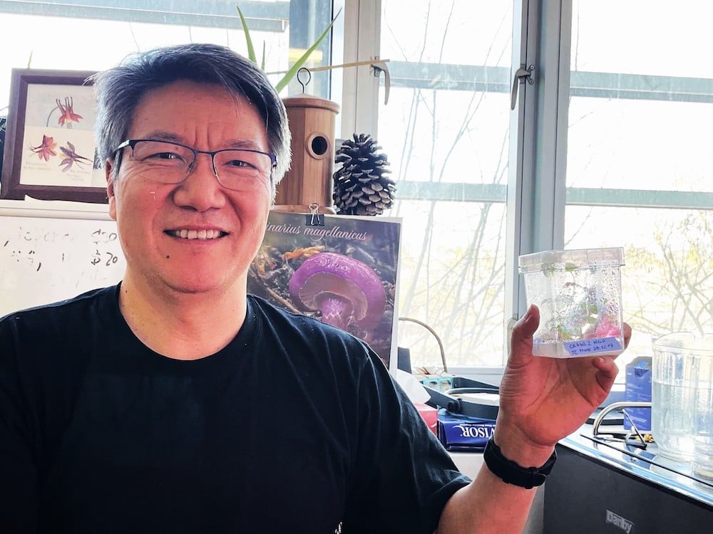 Ji Yang has greying black hair and is wearing glasses and a black T-shirt. He smiles at the camera while holding a small transparent box of hop sprouts. He is seated in an office against a window with a pine cone, plants and other small objects around him.