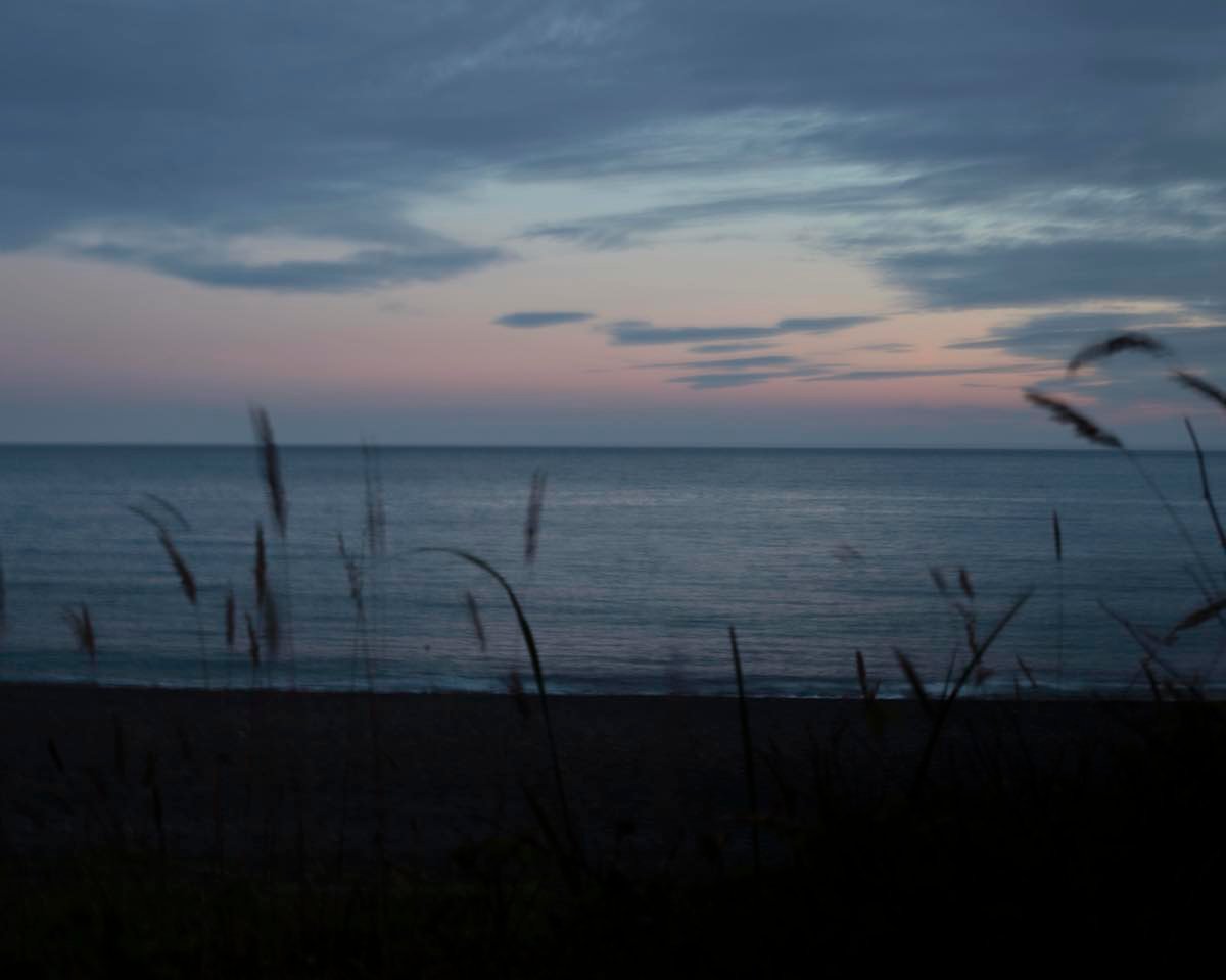 A view of the ocean from a beach at dusk. Tall grasses are in silhouette in the foreground and the darkening sky is pink and blue.