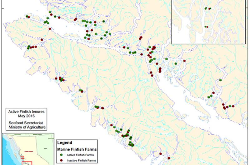 Five Critical Issues to Consider Before the Province Renews Fish Farm Licences