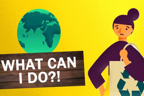 The Best Thing You Can Do to Fix Climate Change