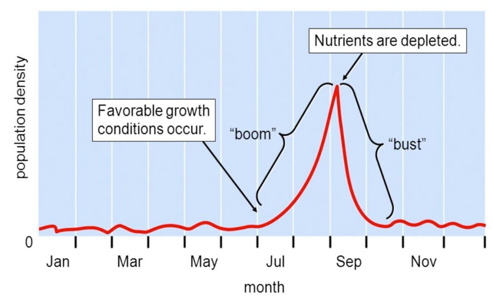 960px version of BoomBustGraph.jpg