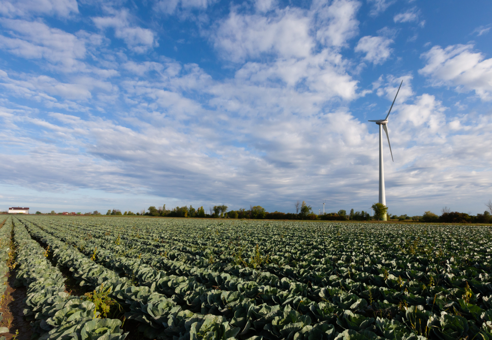 WindTurbine.jpg