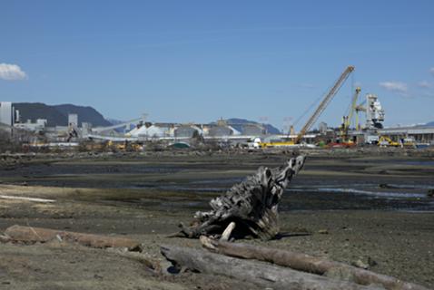 LNG in BC Is a ‘Losing’ Bet, Report Finds