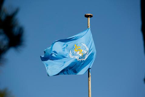 Two Cheers for the World Health Organization