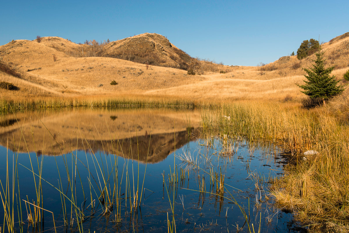 851px version of LacDuBoisGrasslands.jpg