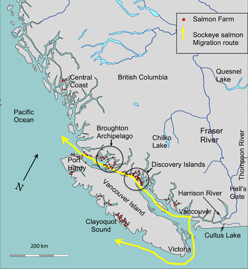 582px version of FarmedSalmonMap.jpg