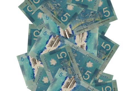 Spending $50 to Collect $5. Canada’s Absurd Access to Information Rules
