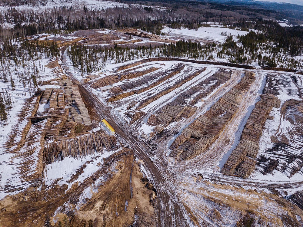 An aerial photo shows a giant, snow-covered space with rows of logs waiting to be processed.