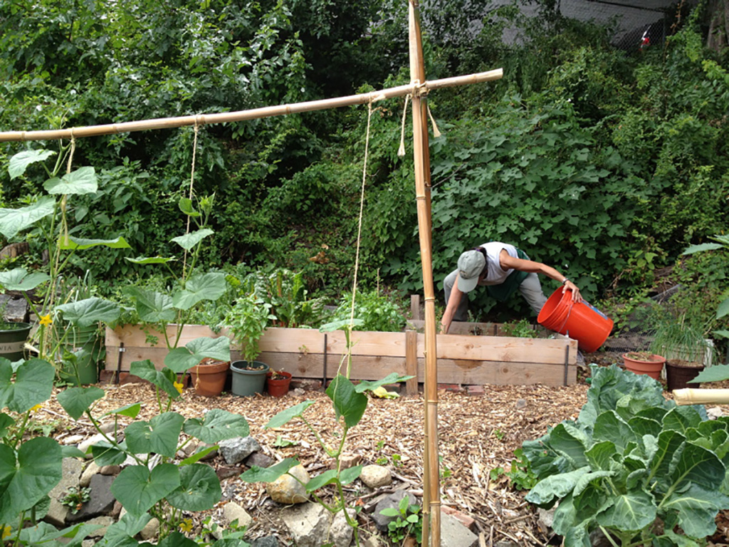 A farmer leans over a raised garden bed. They are holding a large orange bucket. There are woodchips on the ground, and a trellis made of sticks and twine in the foreground.